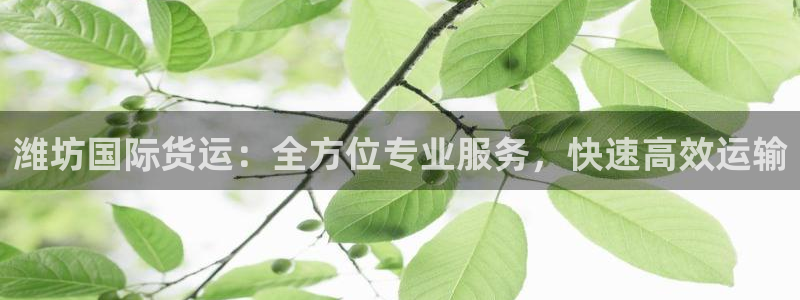 尊龙科技：潍坊国际货运：全方位专业服务，快速高效运输