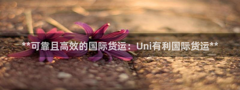 尊龙ag旗舰厅下载：**可靠且高效的国际货运：Uni有利