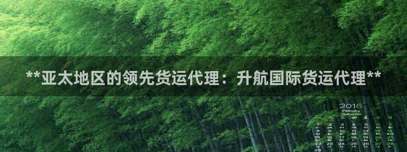 尊龙 国外：**亚太地区的领先货运代理：升航国际货运代理