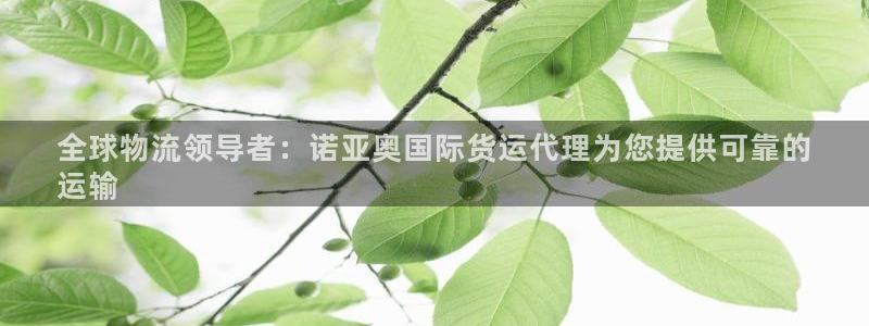 尊龙凯时赞助：全球物流领导者：诺亚奥国际货运代理为您提供