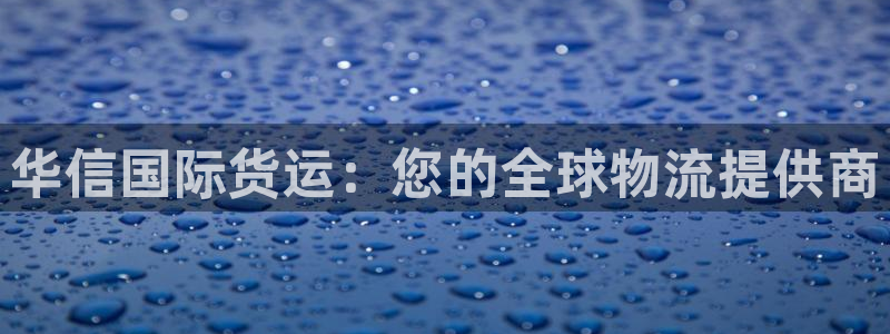 尊龙凯时登陆入口：华信国际货运：您的全球物流提供商