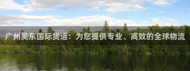 尊龙人生就是博登录：广州昊东国际货运：为您提供专业、高效