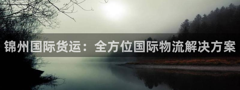 尊龙人生就是博管网：锦州国际货运：全方位国际物流解决方案