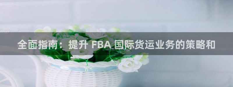 尊龙官网下载：全面指南：提升 FBA 国际货运业务的策略