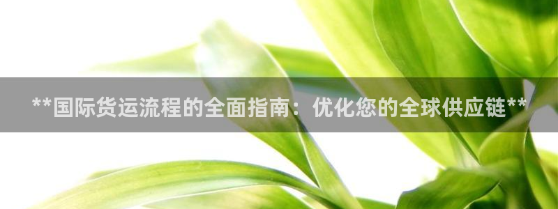 Z6尊龙凯时登录：**国际货运流程的全面指南：优化您的全